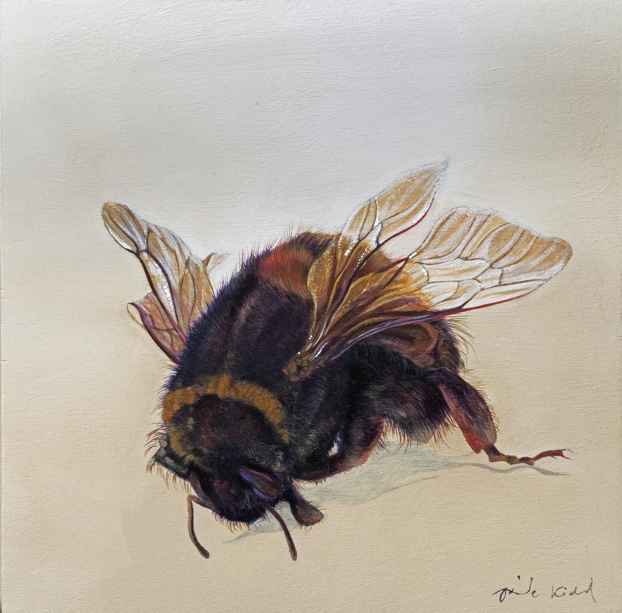 Bombus terrestris 10, 2013 (acryl op hout) door Odile Kidd