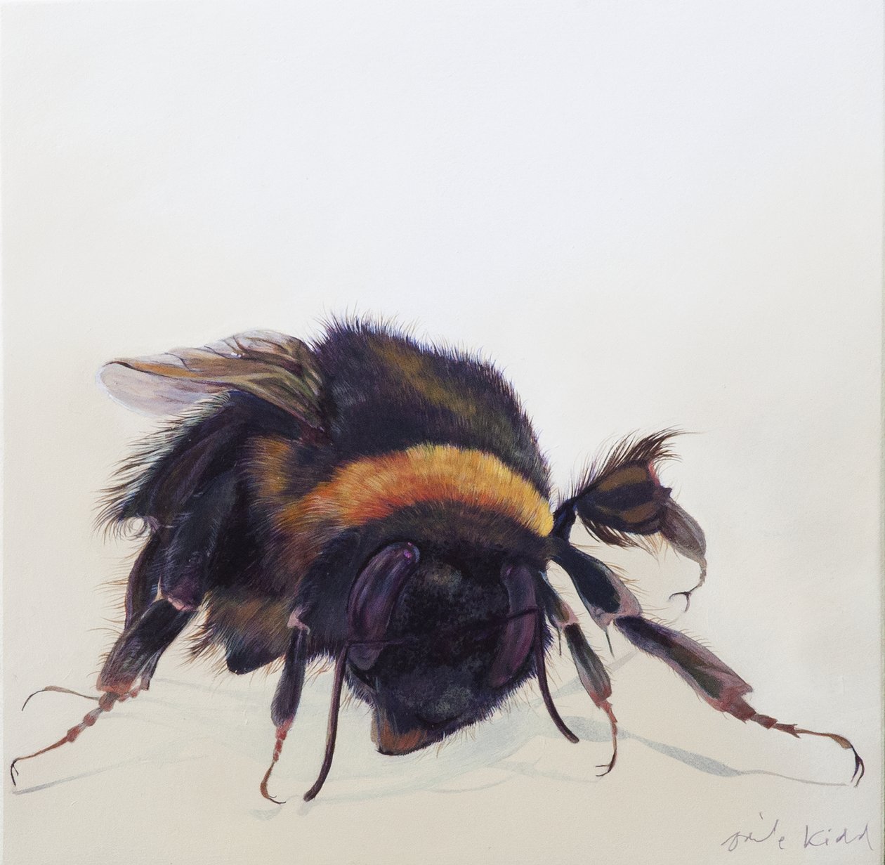 Bombus terrestris 9, 2013 (acryl op hout) door Odile Kidd