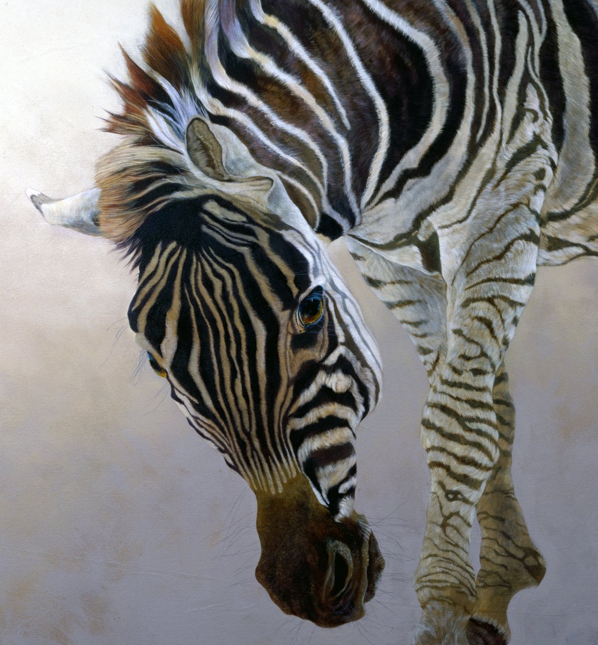 Equus burchelli 2 (detail), 2010 (acryl op doek) door Odile Kidd