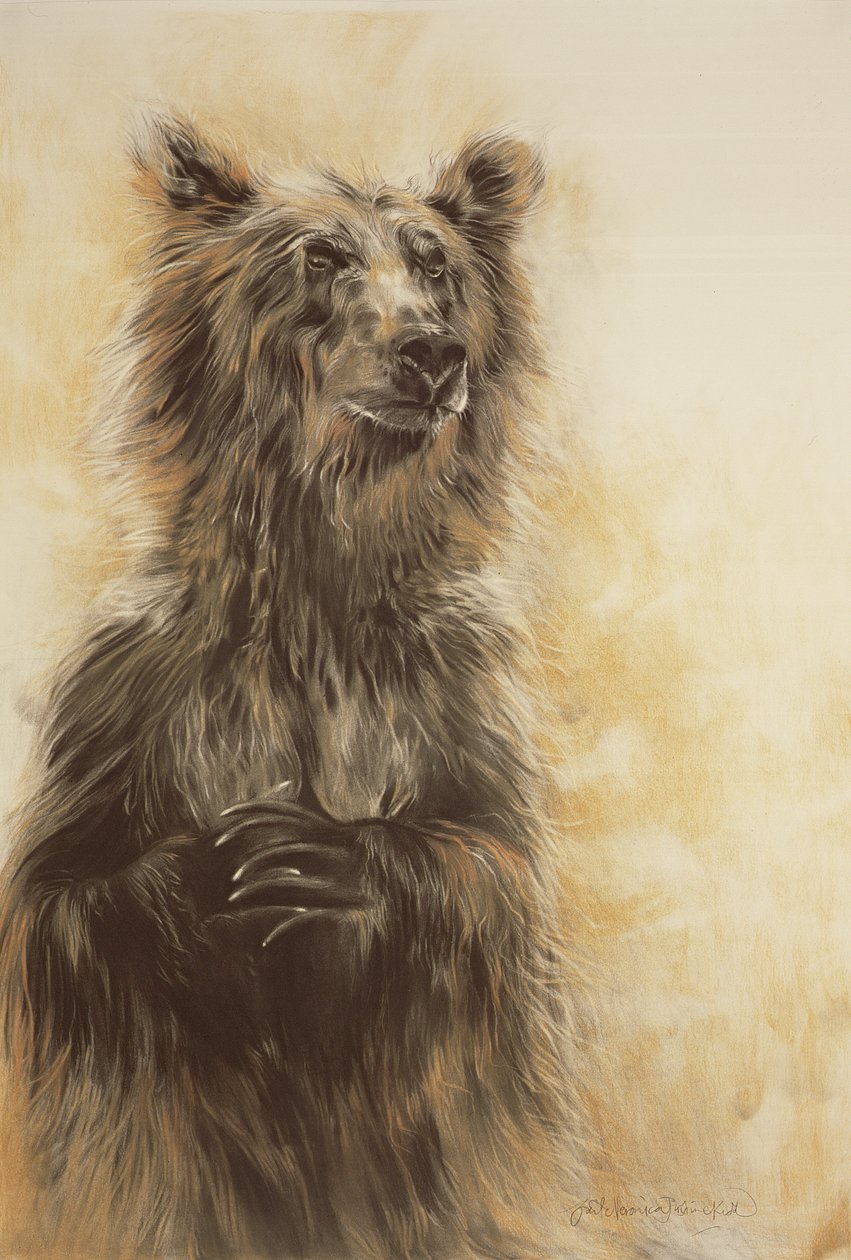Grizzly Bear 1, 2002 (carbon potlood, houtskool  krijt) door Odile Kidd