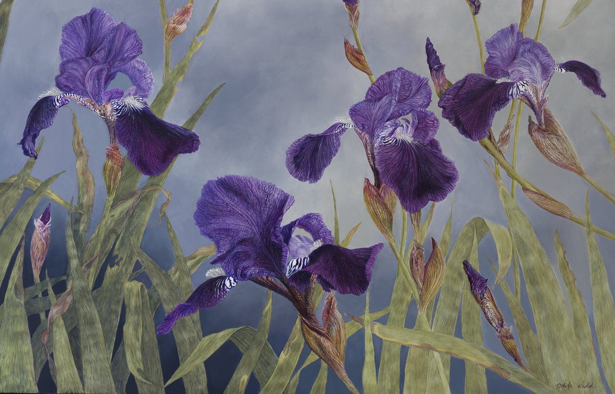Iris hybrida (detail), 2015 (acryl op gegessuurd hout) door Odile Kidd