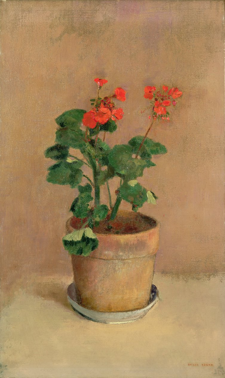 Geraniums in een Pot, ca.1905 door Odilon Redon