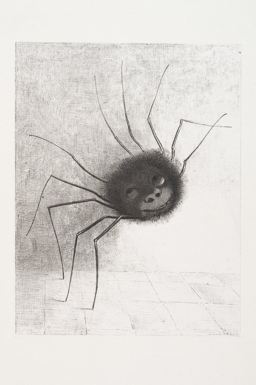 Lachende Spin, ca. 1881 door Odilon Redon