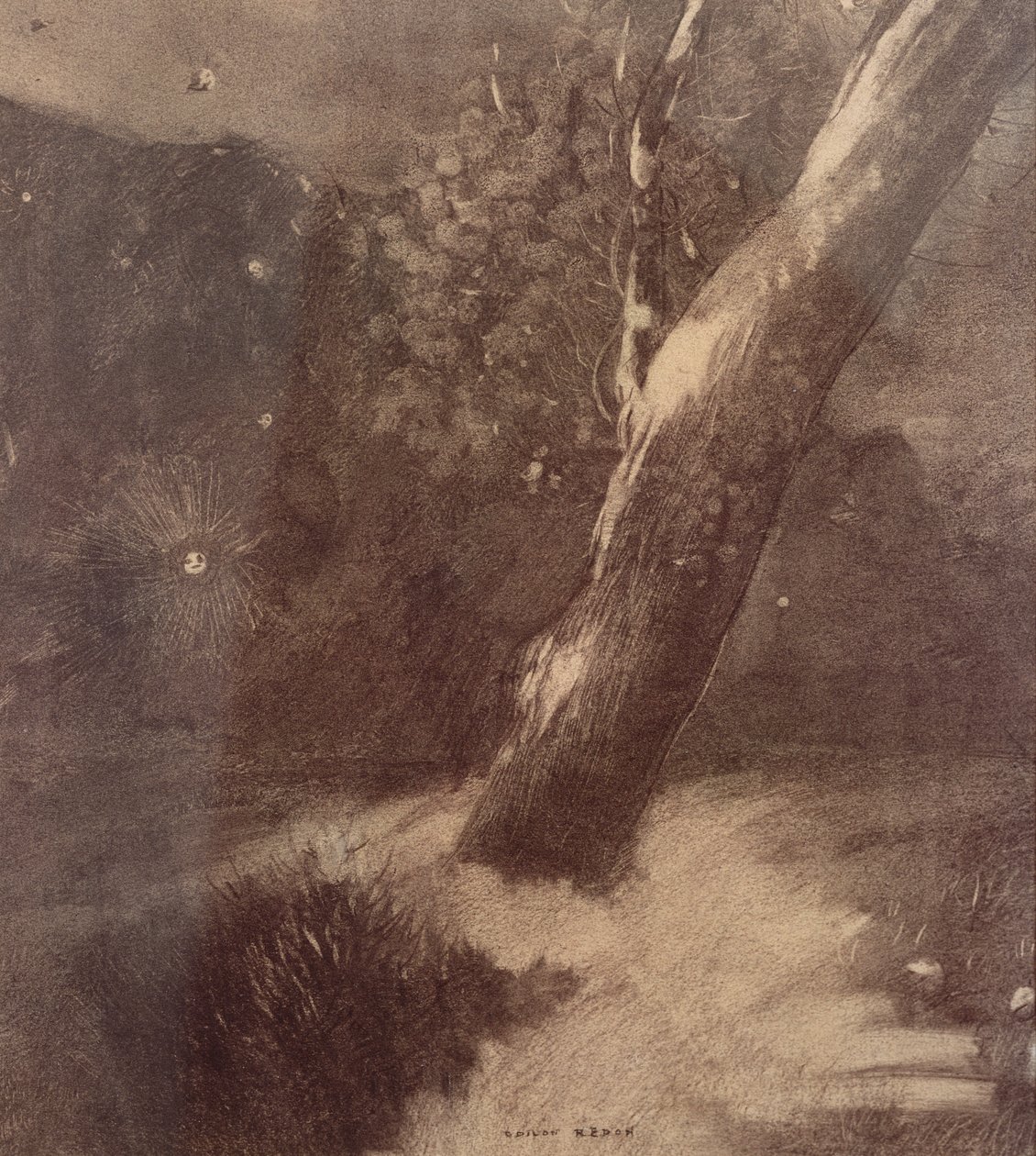 Boom en Sterren door Odilon Redon