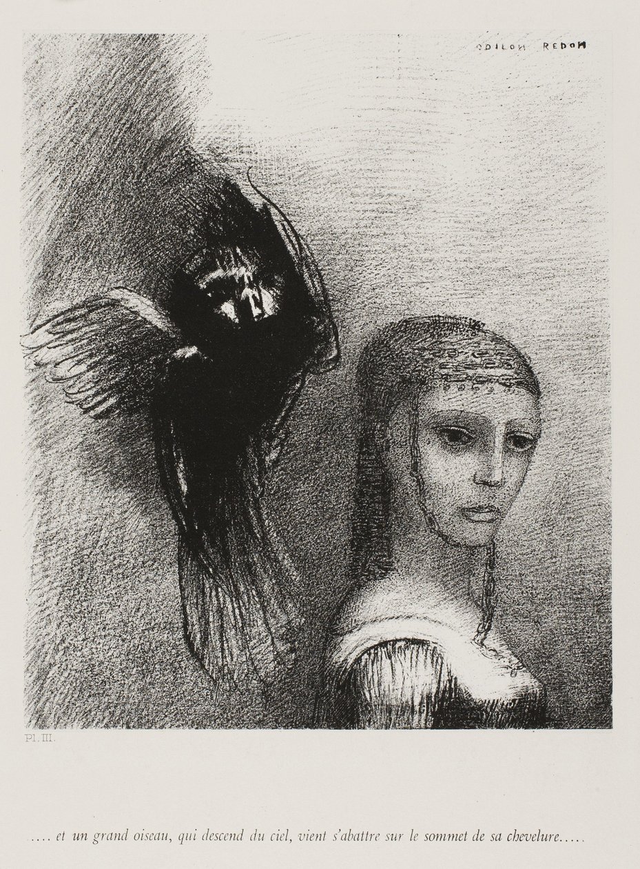 En een grote vogel, die uit de lucht neerdaalt, werpt zich tegen het hoogste punt van haar haar, plaat 3 van 10 door Odilon Redon