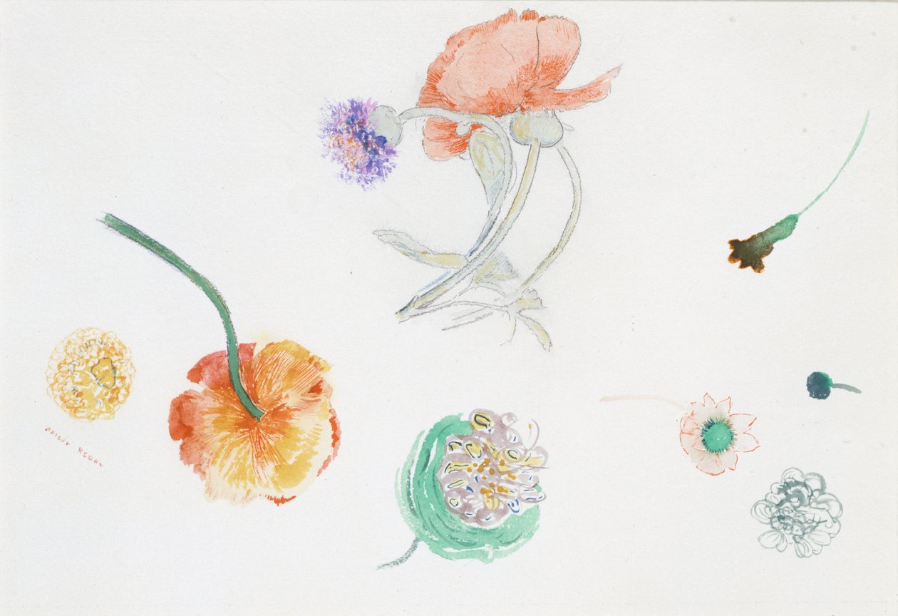 Schets van bloemen door Odilon Redon