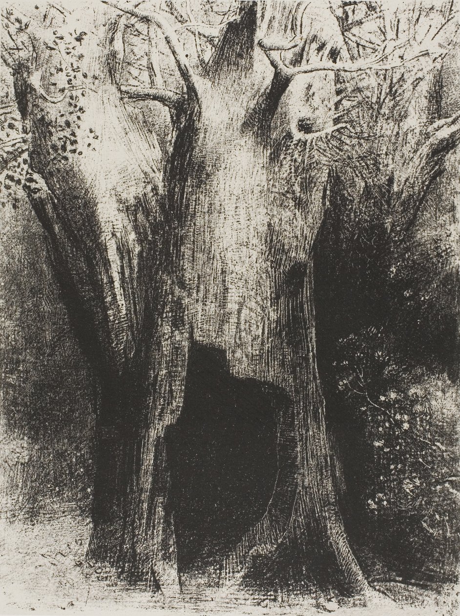 Ik Dook in de Eenzaamheid. Ik Woonde in de Boom achter Mij, plaat 9 van 24 door Odilon Redon