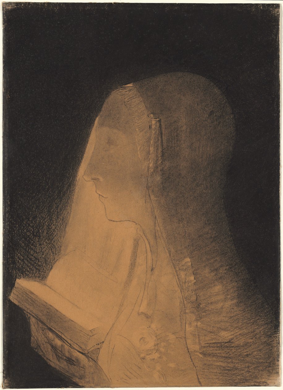 Het boek van het licht door Odilon Redon