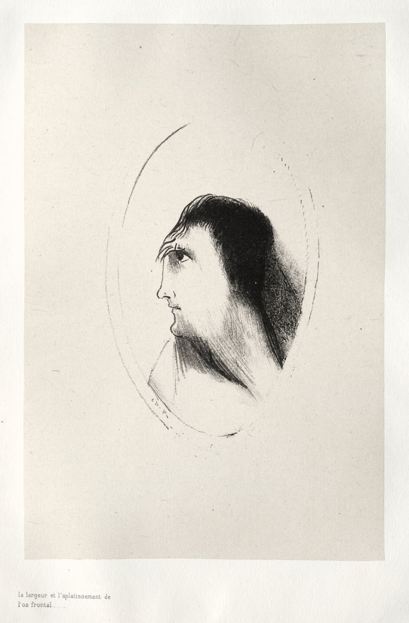 De Breedte en Vlakheid van het Voorhoofdsbeen door Odilon Redon