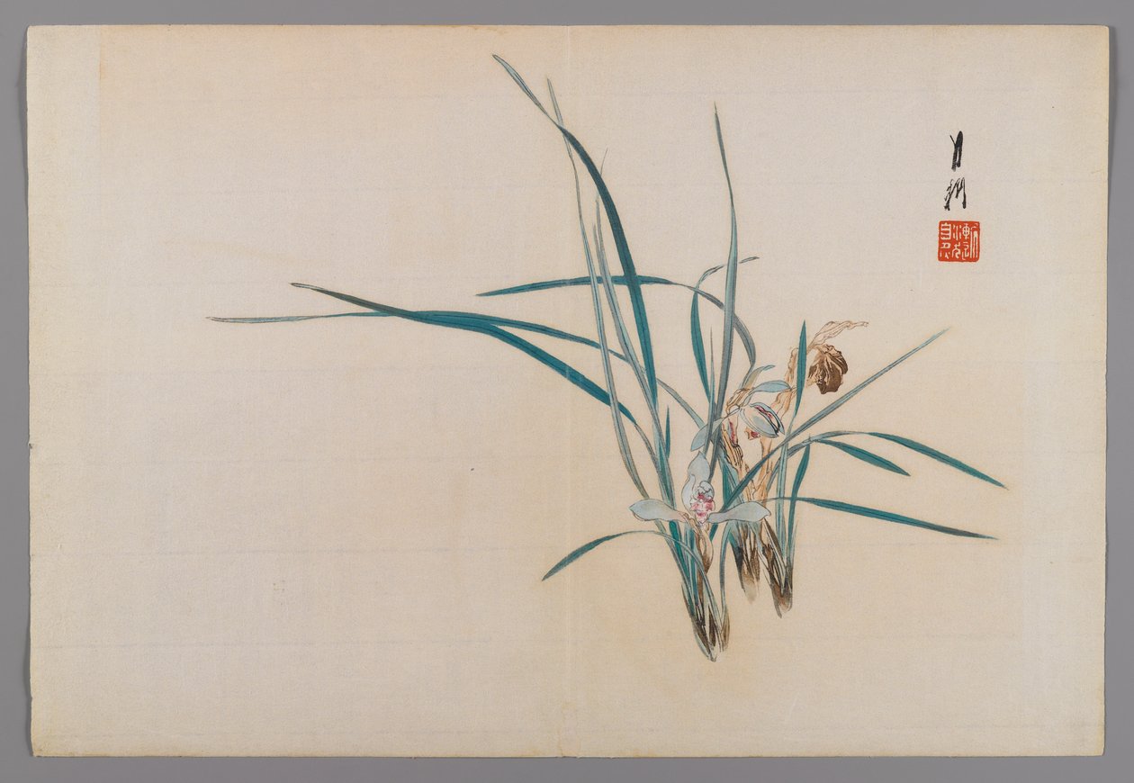 Orchideeën, albumpagina uit een vogel- en bloemenboek (Kacho) door Ogata Gekko