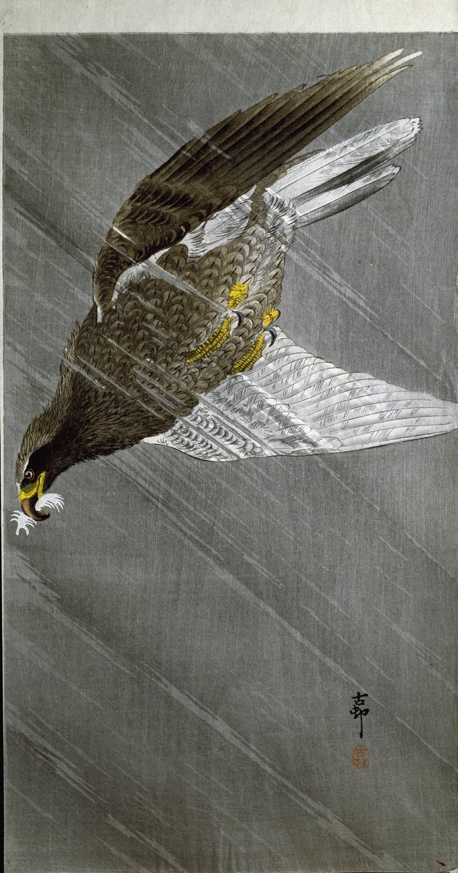 Een adelaar duikt naar zijn prooi, 1910 door Ohara Koson