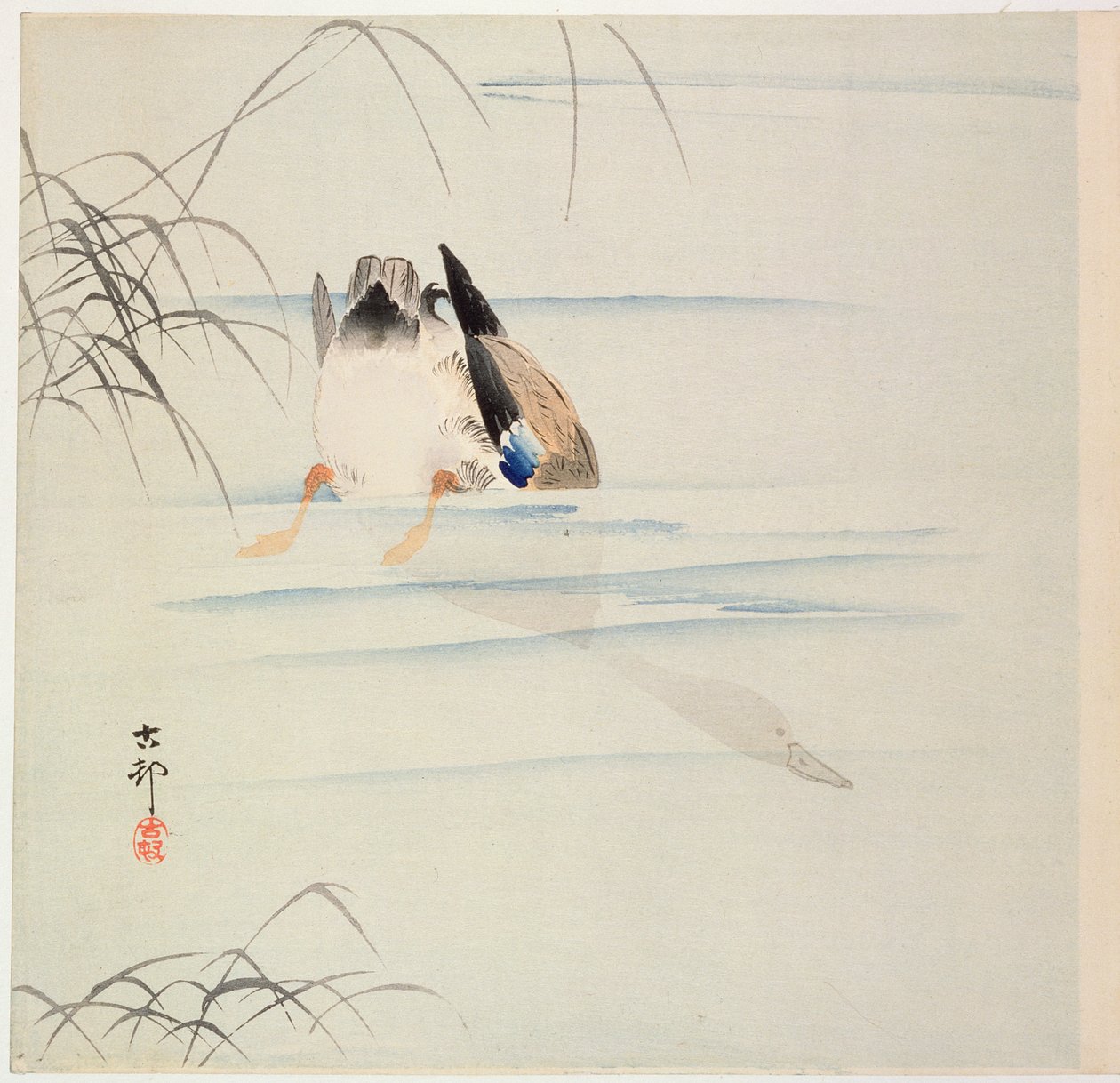 Duikende Eend, ca. begin 1900s door Ohara Koson
