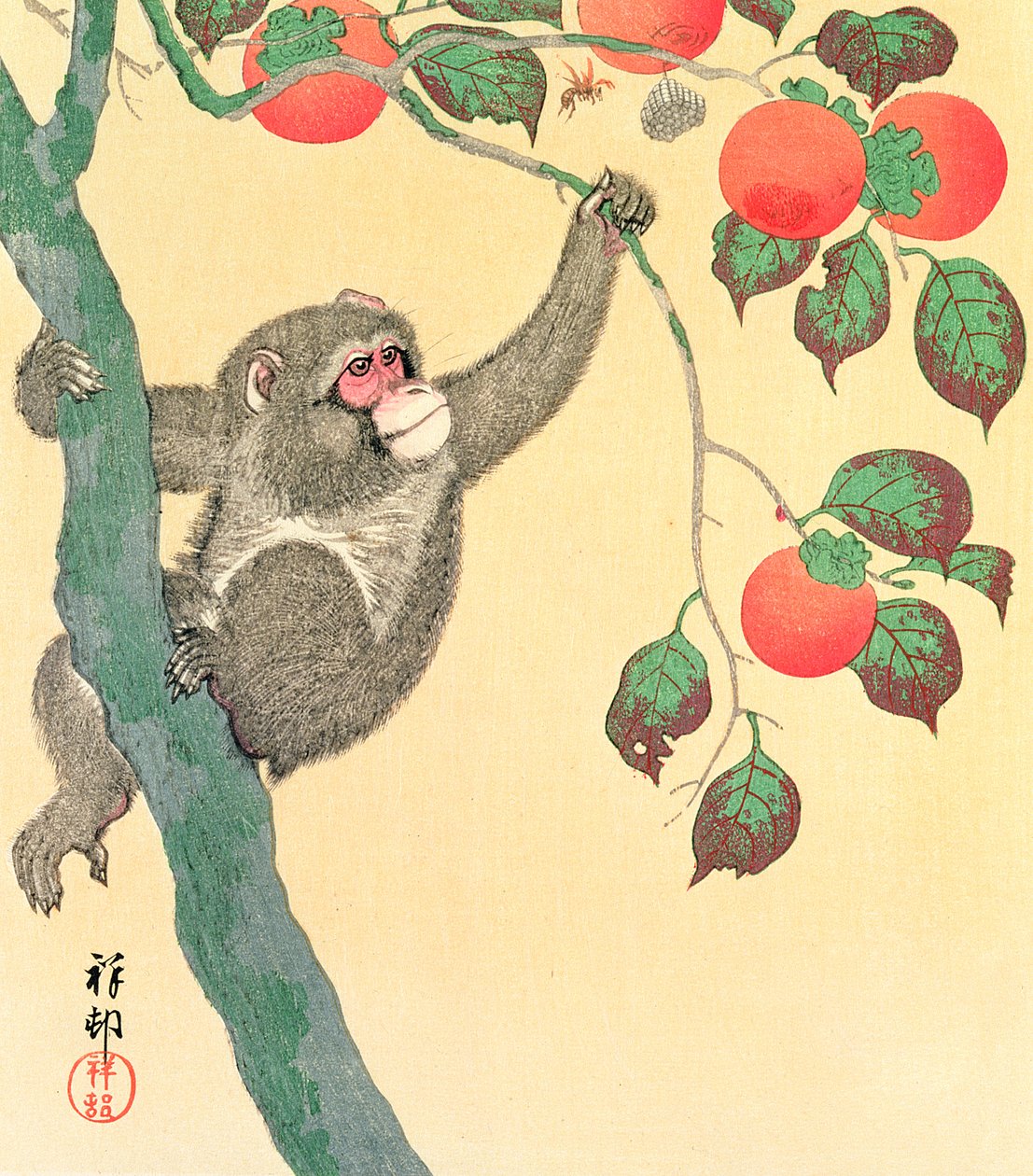 Aap in een persimmonboom, 1935 door Ohara Koson