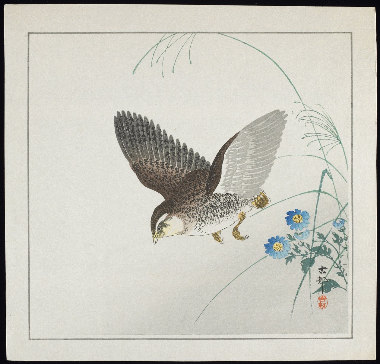 Kwartel in vlucht, voor 1912 door Ohara Koson