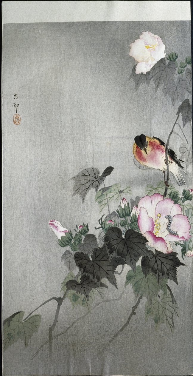 Roodborsttapuit en Bloeiende Bloem, 1907 door Ohara Koson