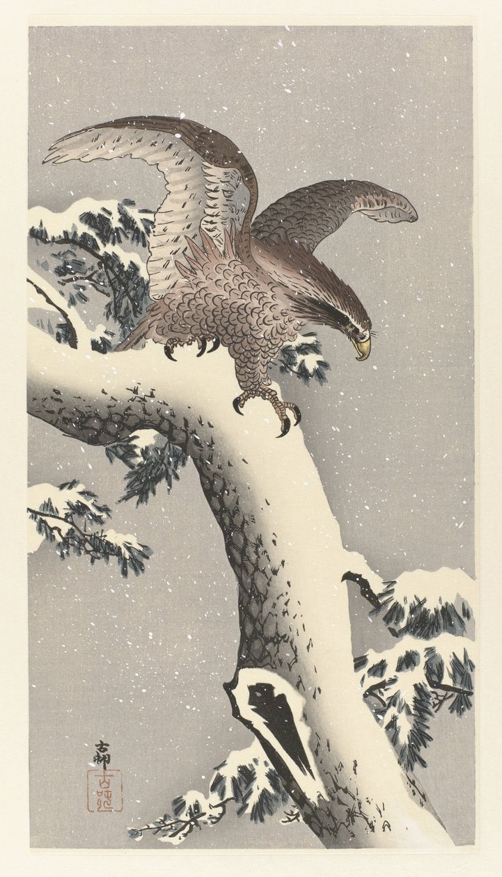 Arend op besneeuwde pijnboom door Ohara Koson