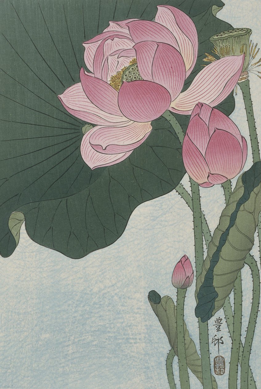 Bloeiende Lotusbloemen door Ohara Koson