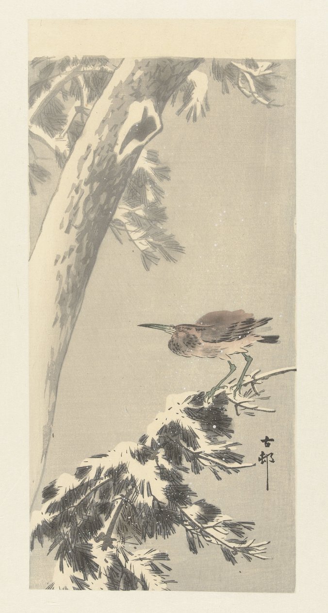 Indische kwak op besneeuwde boomtak door Ohara Koson