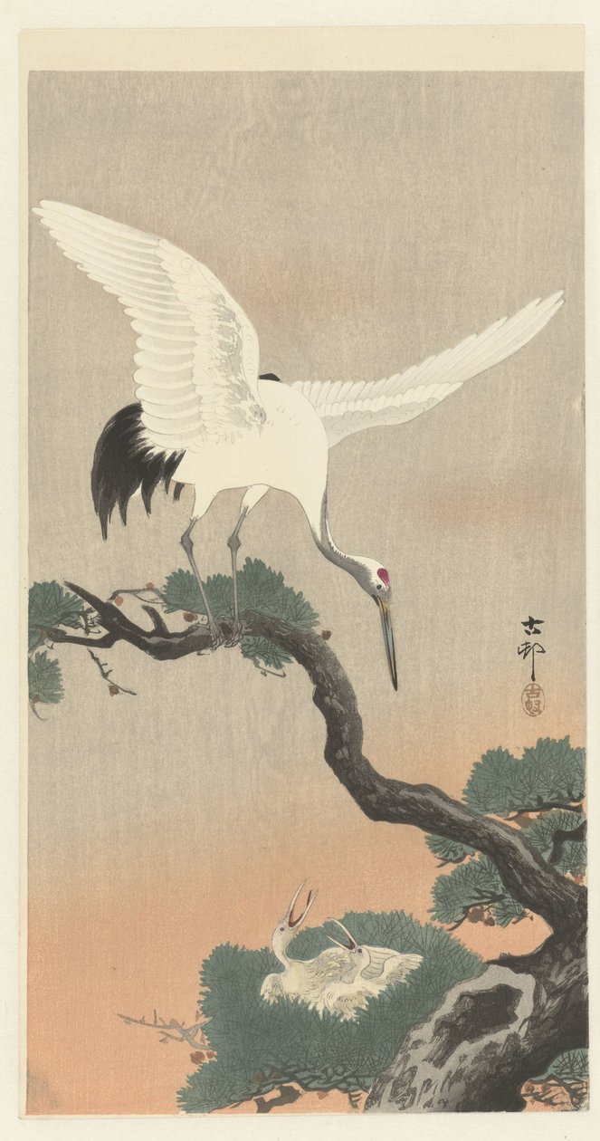 Japanse kraanvogel op tak van pijnboom door Ohara Koson