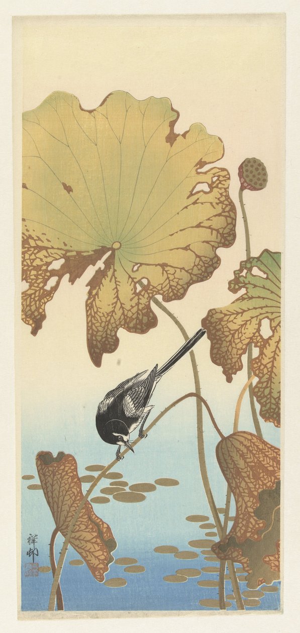 Japanse kwikstaart op lotusplant door Ohara Koson