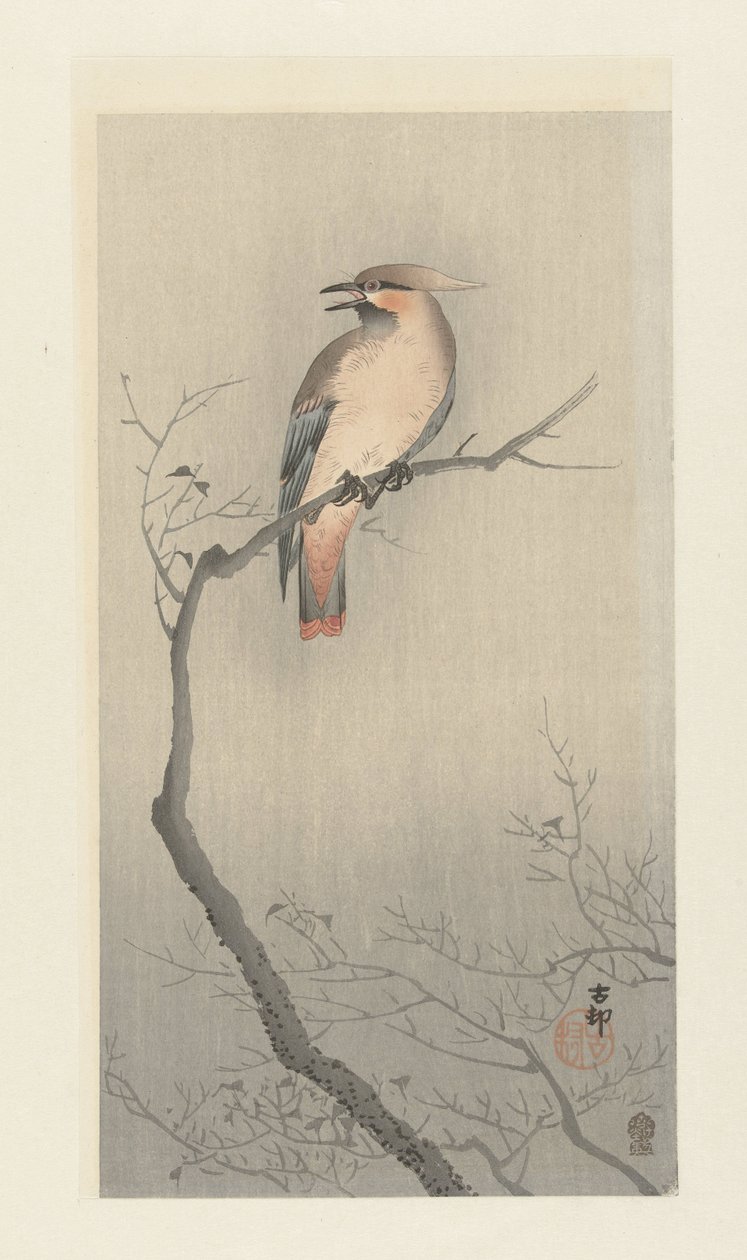 Japanse pestvogel op tak door Ohara Koson