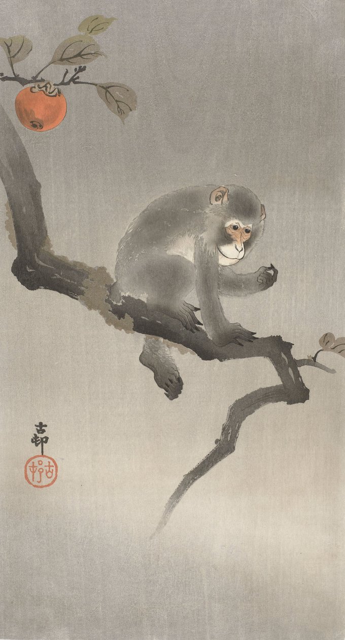Aap in een Fruitboom door Ohara Koson