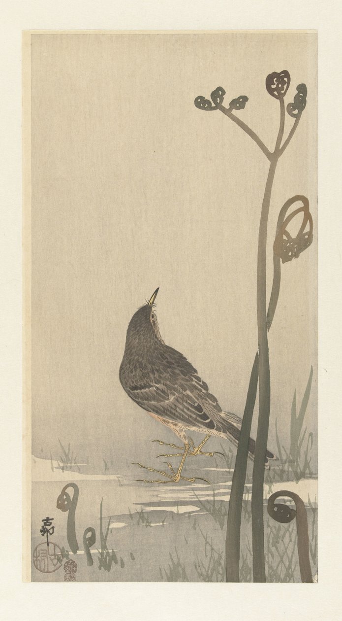 Pieper aan waterkant door Ohara Koson