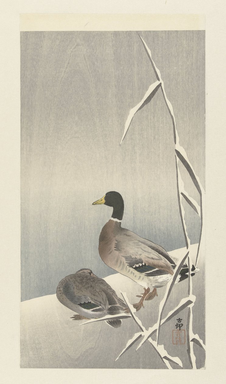 Twee eenden op besneeuwde rietover door Ohara Koson