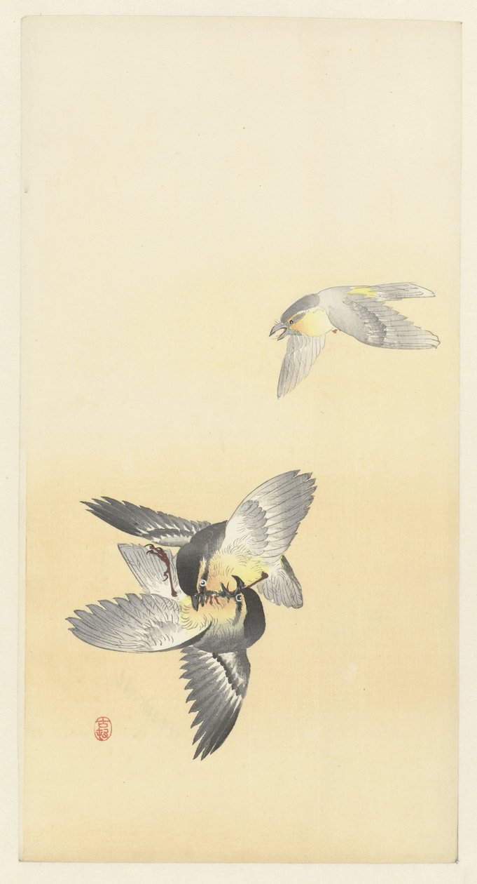 Twee vechtende vogels door Ohara Koson