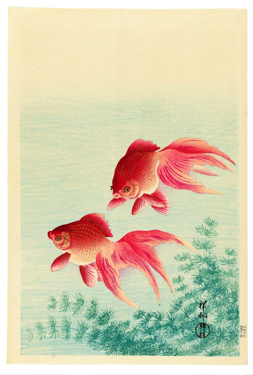 Twee sluierstaartgoudvissen door Ohara Koson