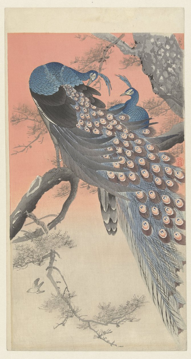 Twee Pauwen op een Tak door Ohara Koson