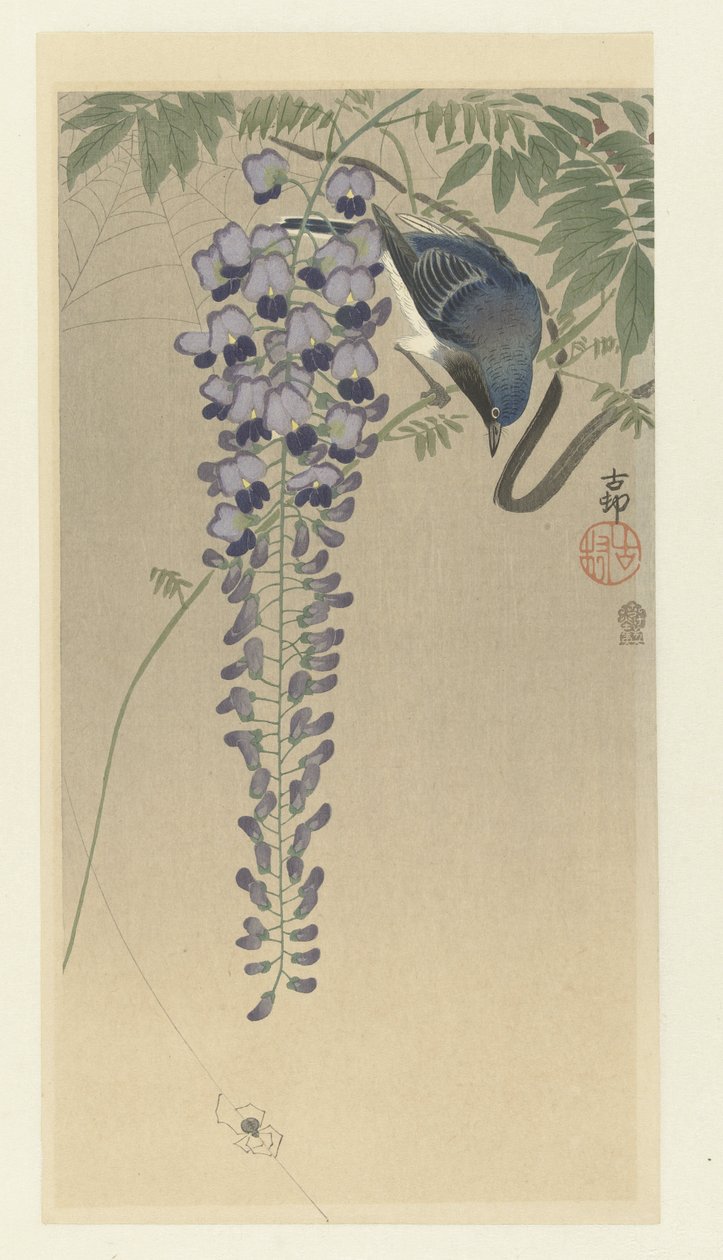 Vliegenvanger bij wisteria door Ohara Koson