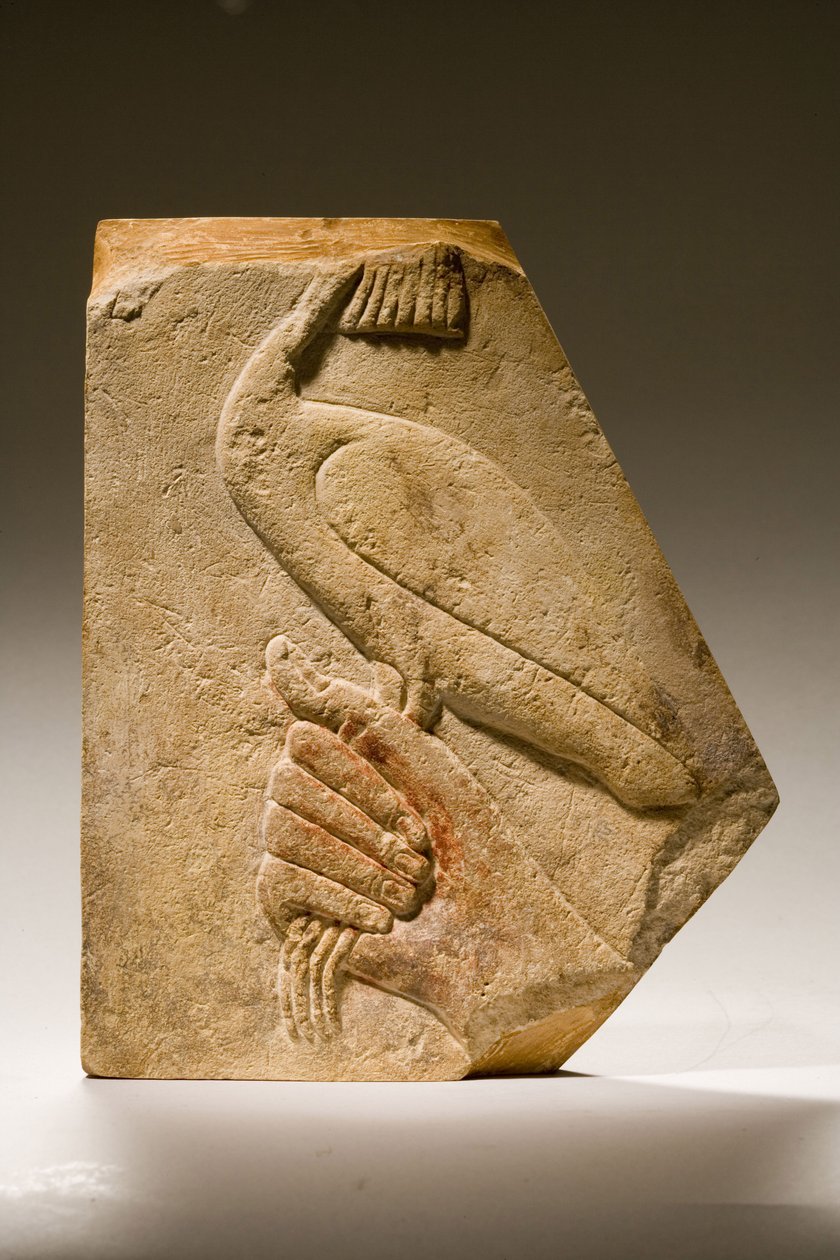 Reliëffragment van een Akh-vogel (kalksteen) door Old Kingdom Egyptian