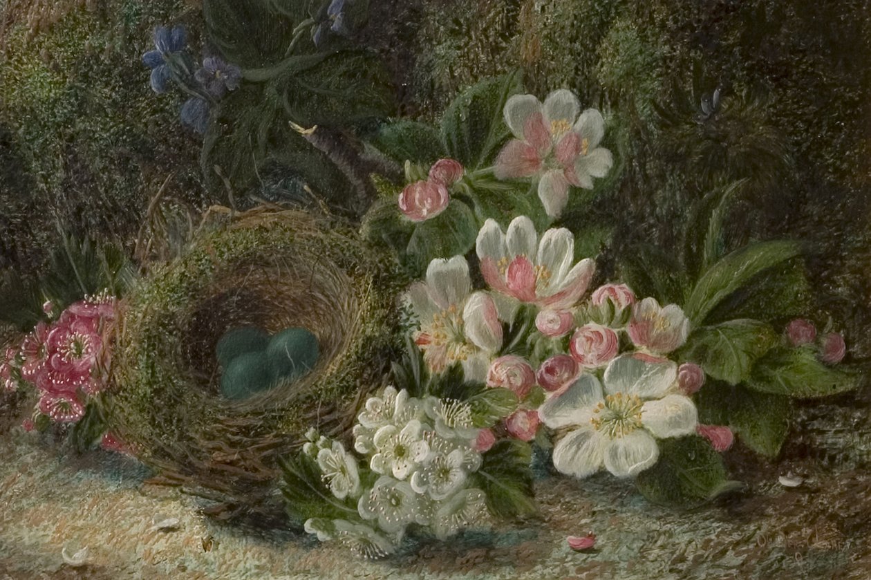Vogelnest met Appel en Meidoornbloesem, 1893 door Oliver Clare
