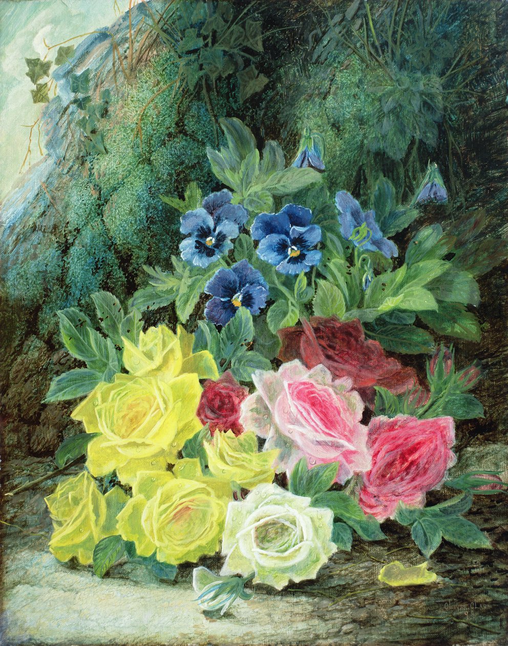 Rozen door Oliver Clare