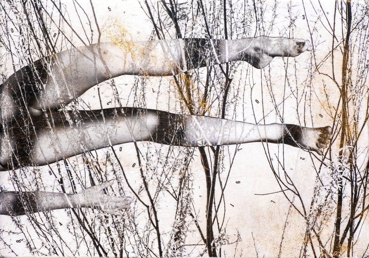 Gambe volanti, 2022 (gemengde techniek op hout) door Olivia Gozzano