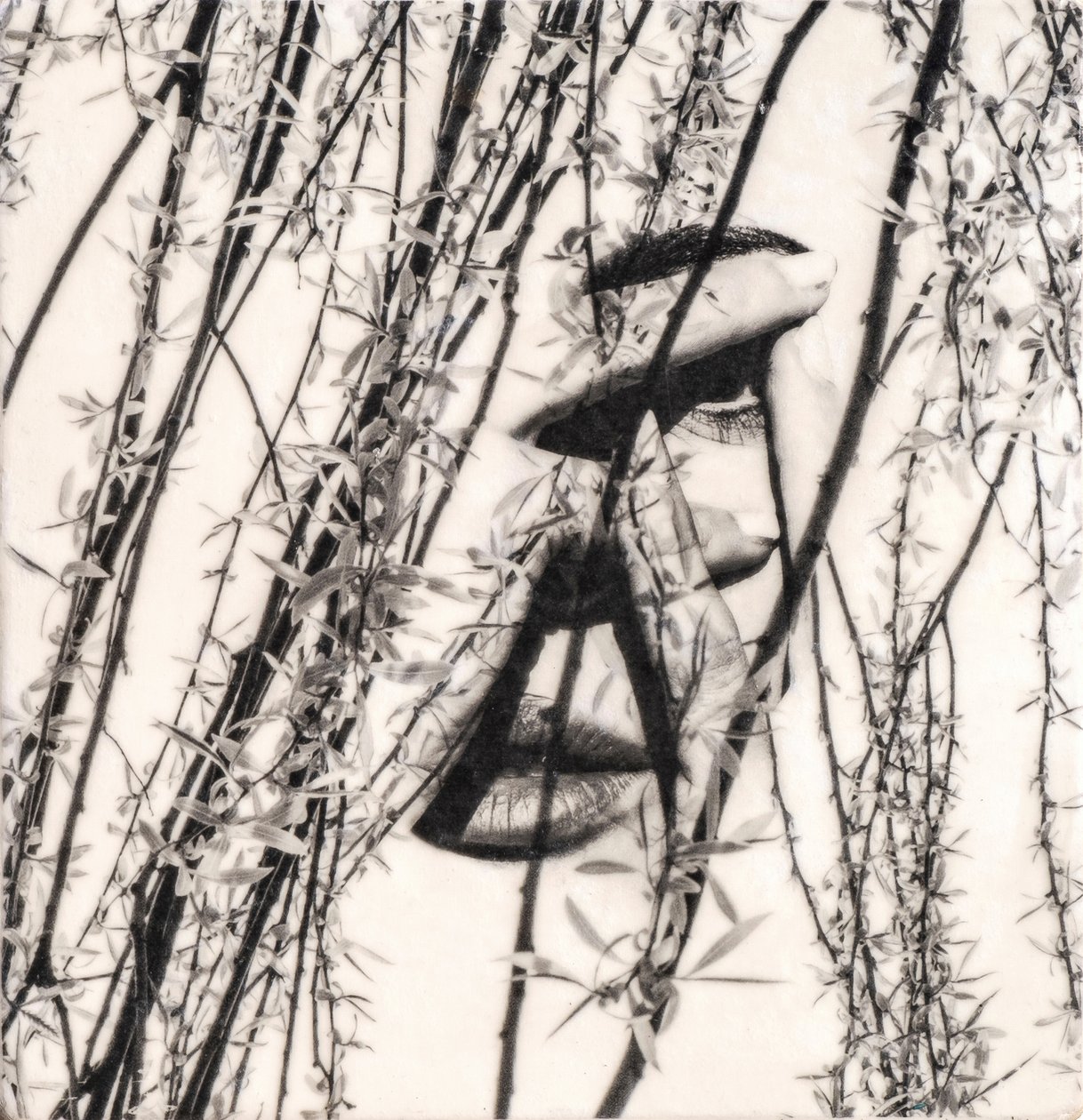 Maura, 2022 (fototransfer bijenwas op hout ) door Olivia Gozzano