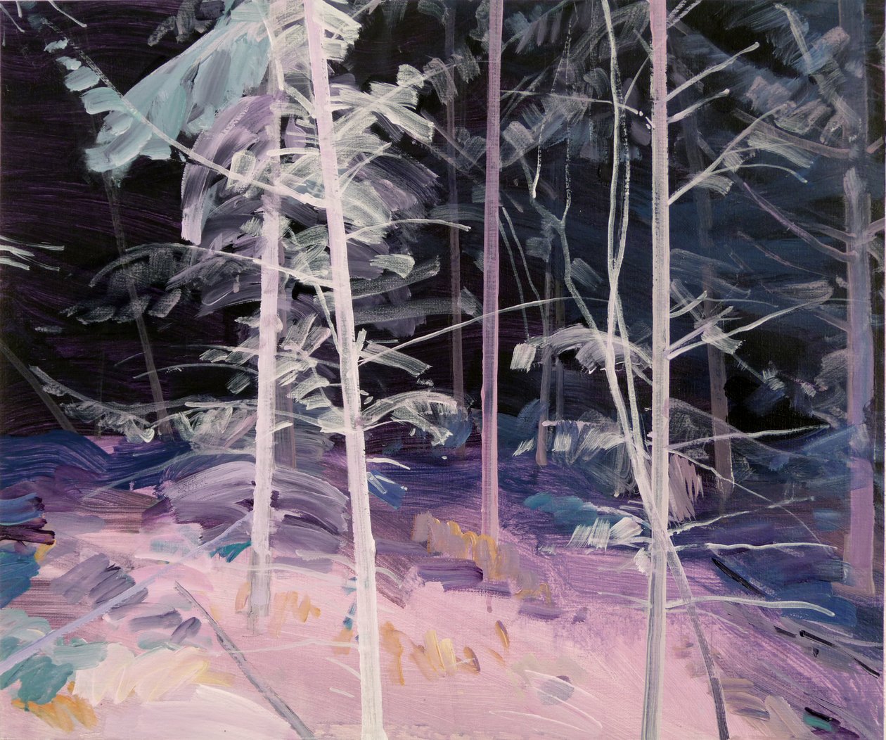 Forêt-noire 1 door Olivier Morel
