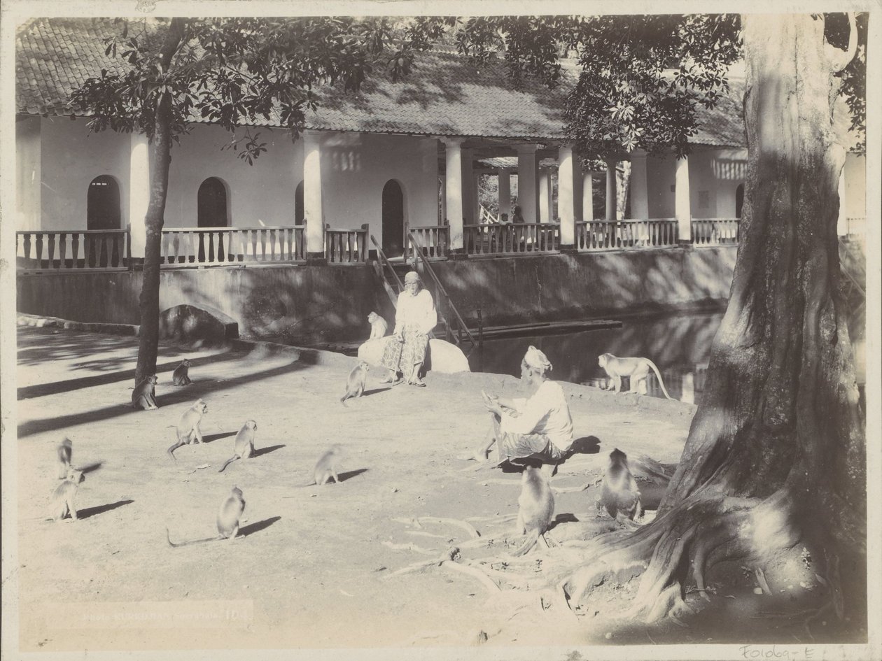 Indische mannen met aapjes op een erf aan een water, mogelijk in Surabaya door Onnes Kurkdjian