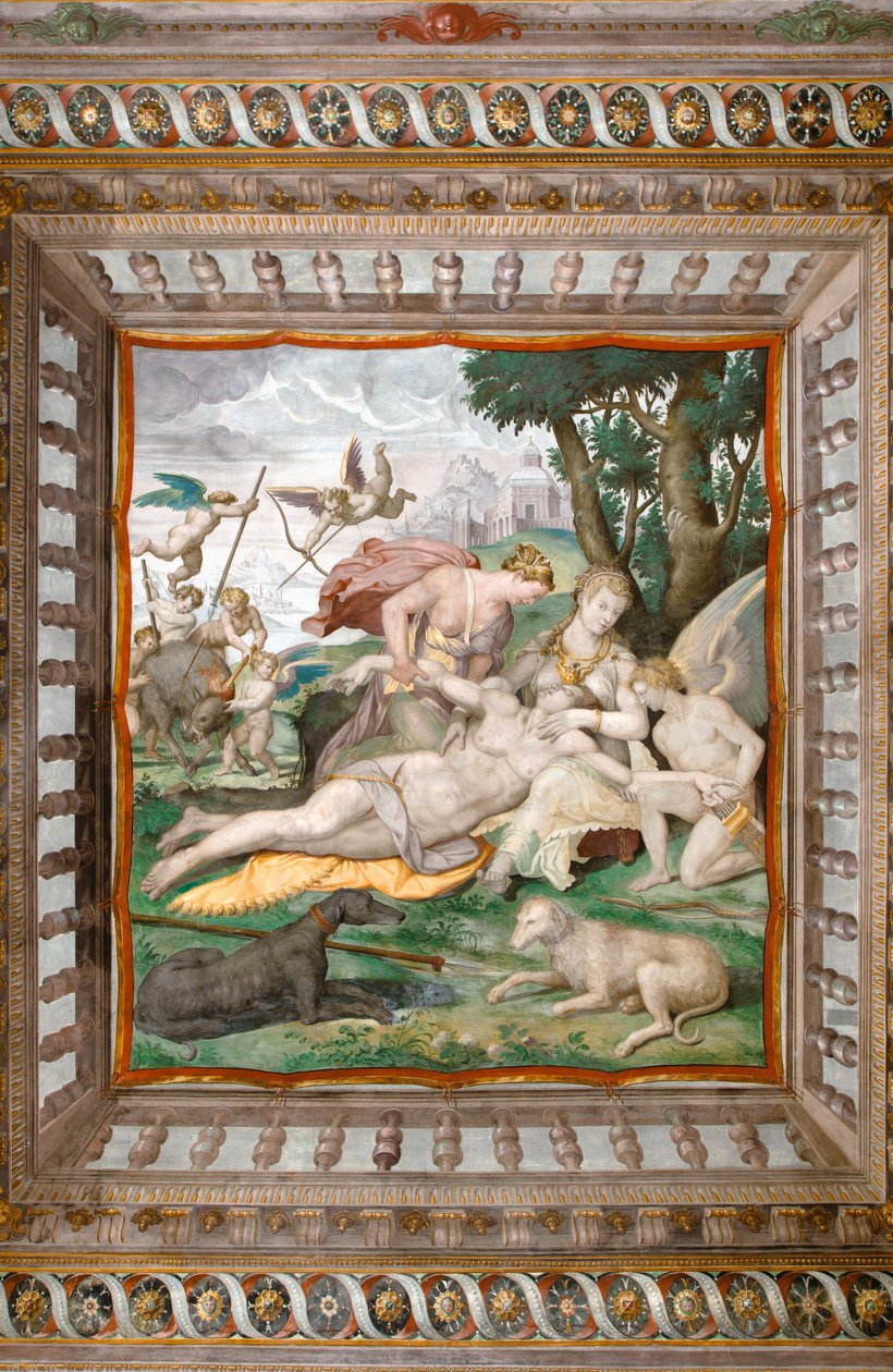 Dood van Adonis, plafond van de Kamer van Adonis, Rocca dei Rossi, San Secondo, Parma, Italië (detail) door Orazio (attr.to) Samacchini
