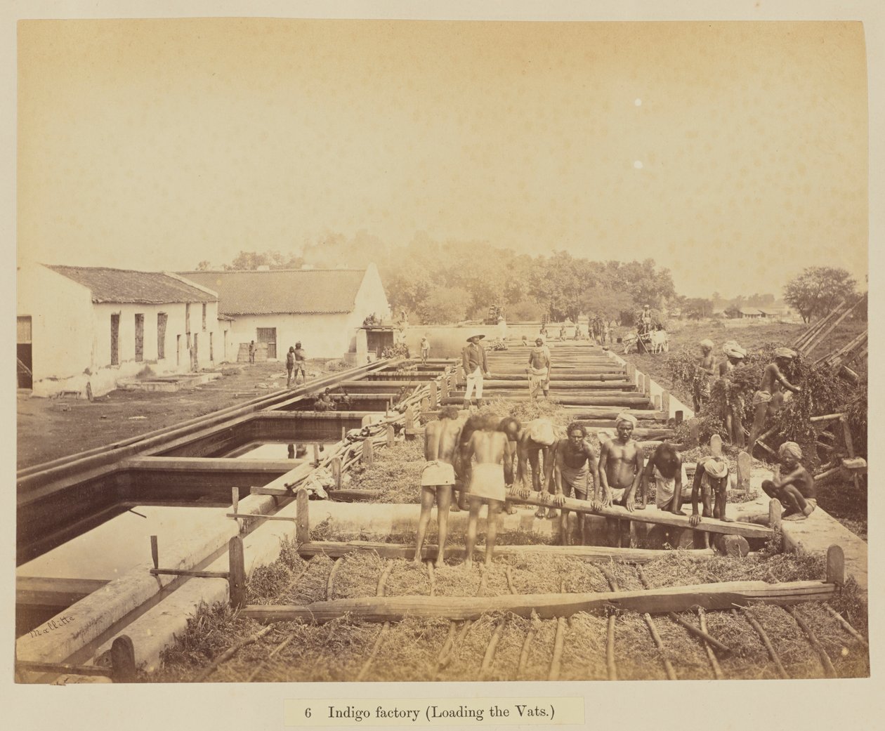 Indigo fabriek (laden van de vaten) door Oscar Jean Baptiste Mallitte