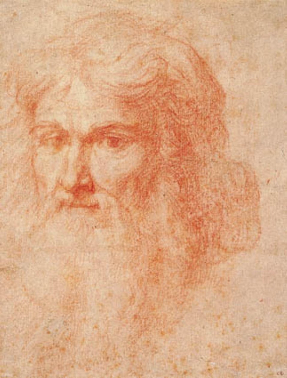 Hoofd van een man met een lange baard door Ottavio Vannini