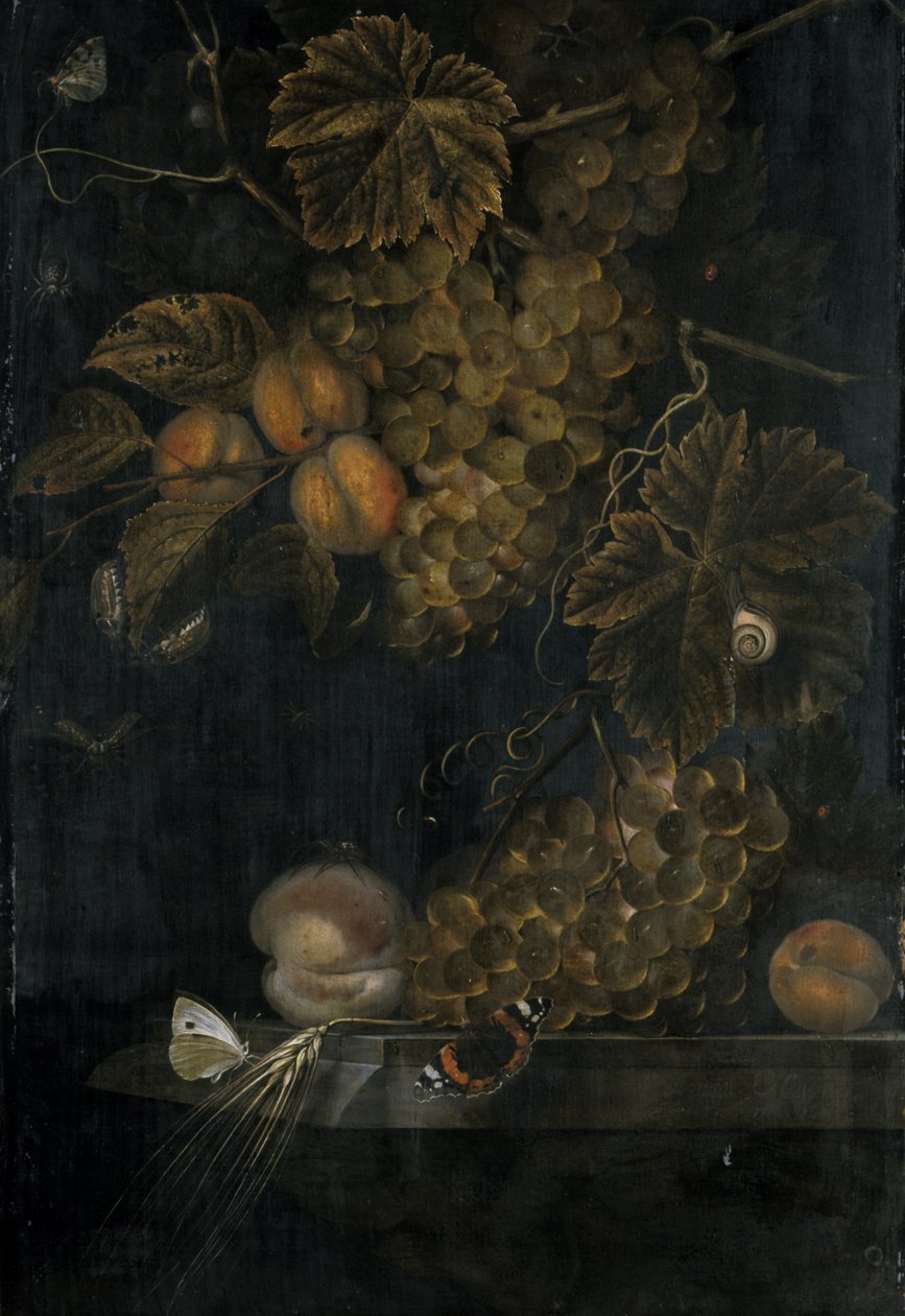 Stilleven met perziken en druiven door Ottmar the Elder Elliger