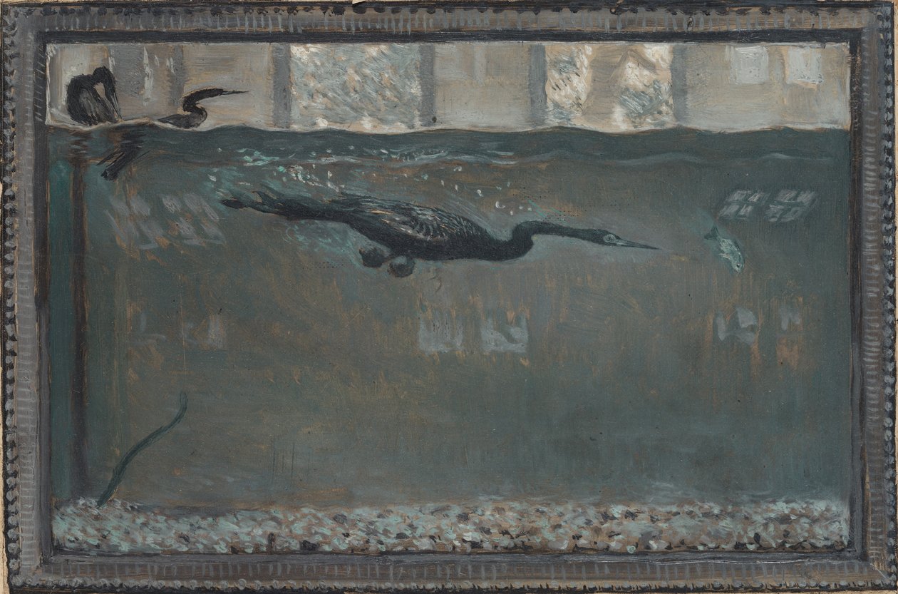 Duikende Aalscholver door Otto H. Bacher