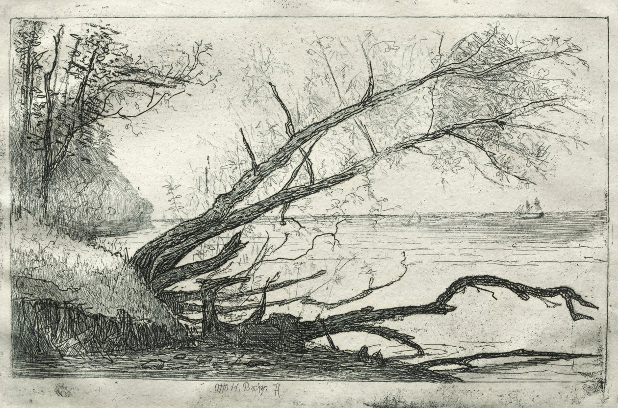 Oude esdoorn, 1877 door Otto H. Bacher