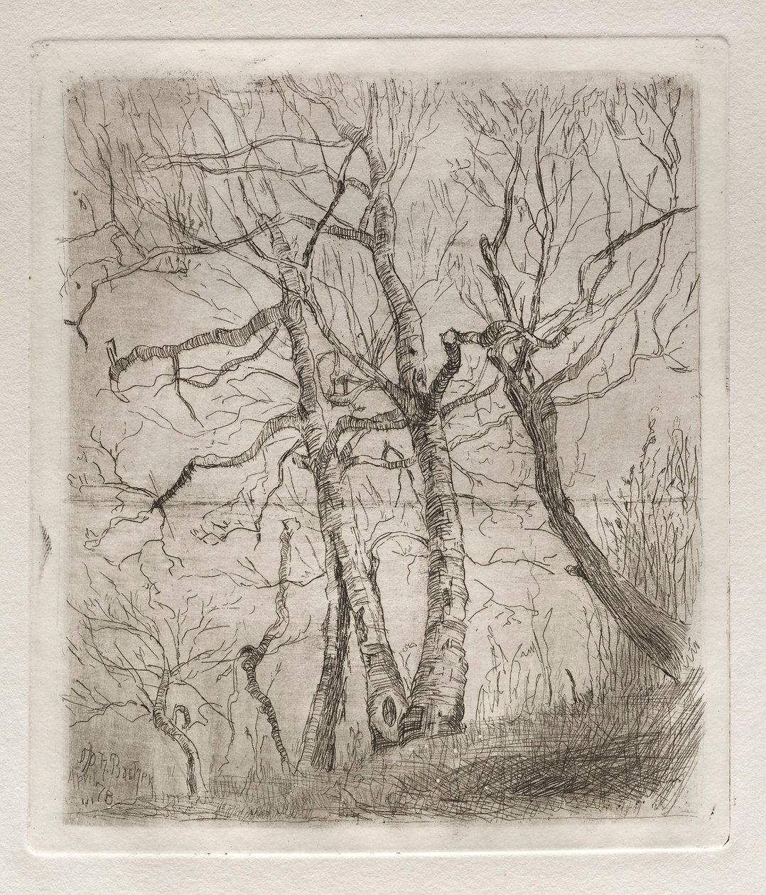 Bomen, 1878 door Otto H. Bacher