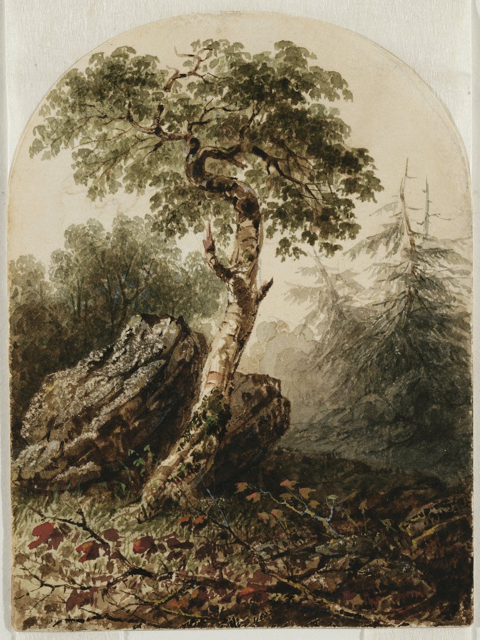 Landschap met berk, 1859 door Owen G. Hanks