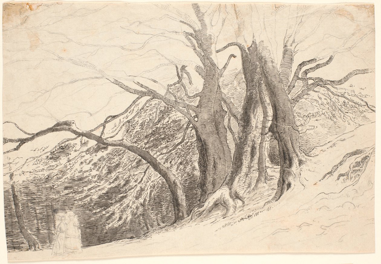 Een helling met grote bomen in een bos, met twee wandelende dames door P.C. Skovgaard
