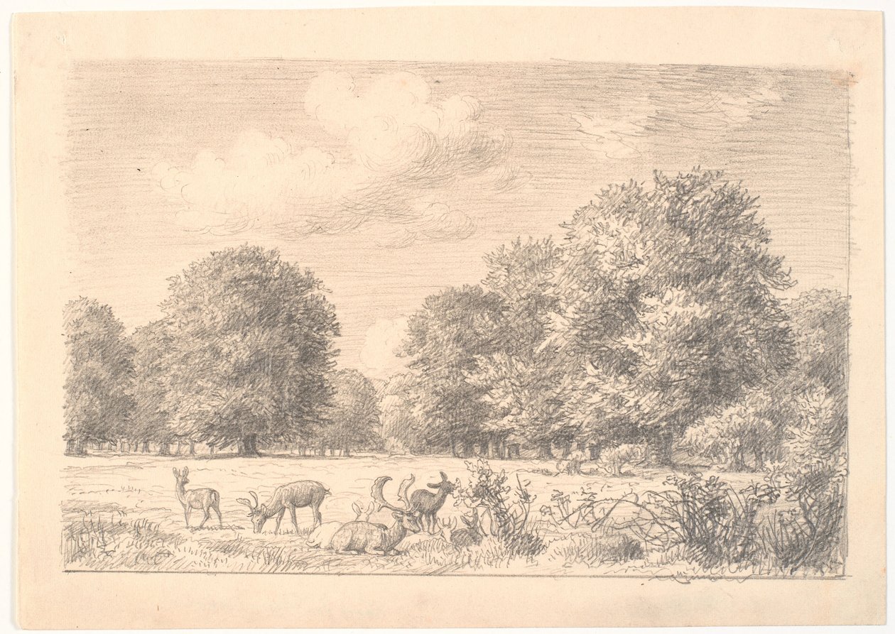 Scène uit Dyrehaven met herten in een open plek door P.C. Skovgaard