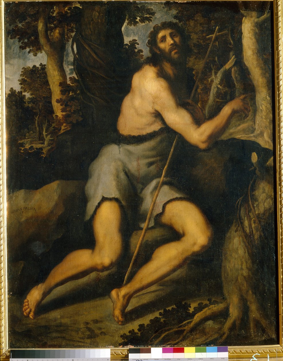Sint Johannes de Doper in de wildernis door Palma Il  Giovane